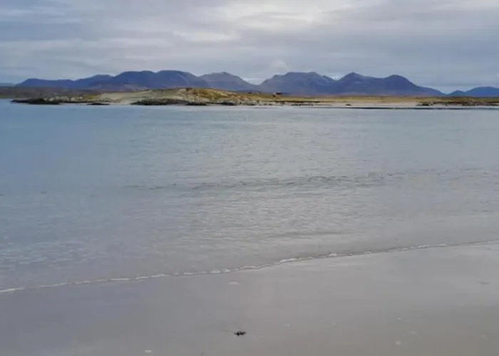 Mannin View House * Балликоннили